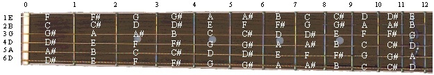 Drop D Fretboard