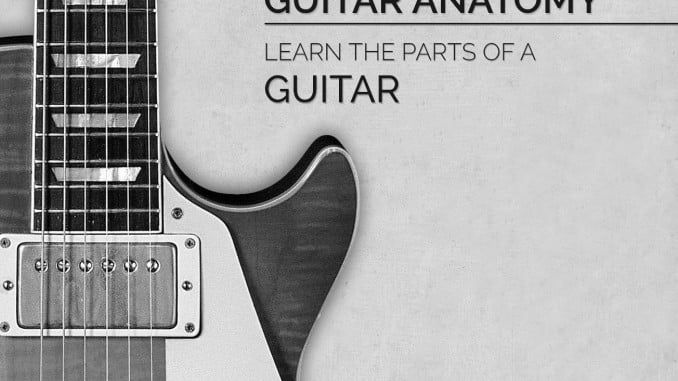 Guitar Anatomy Learn the Parts of a Guitar Feature Image