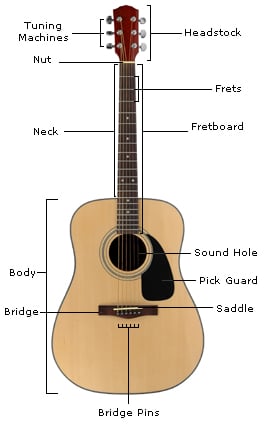 Parts of a Guitar - Learn the Guitar's Anatomy | Guitar Lesson World