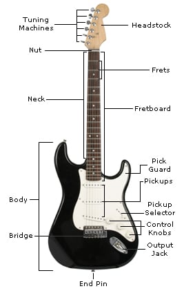 Parts of a Guitar - Learn the Guitar's Anatomy | Guitar Lesson World