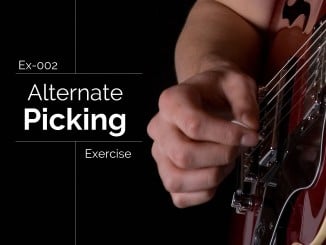 Ex-002 Alternate Picking Exercise