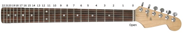 Fretboard with fret numbering