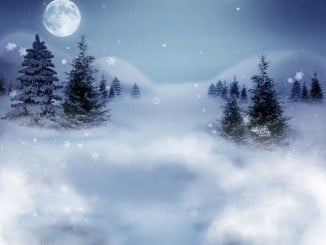 Winter silent night landscape