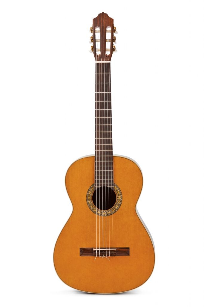 AP005 Why do guitars have dots? Guitar Lesson World